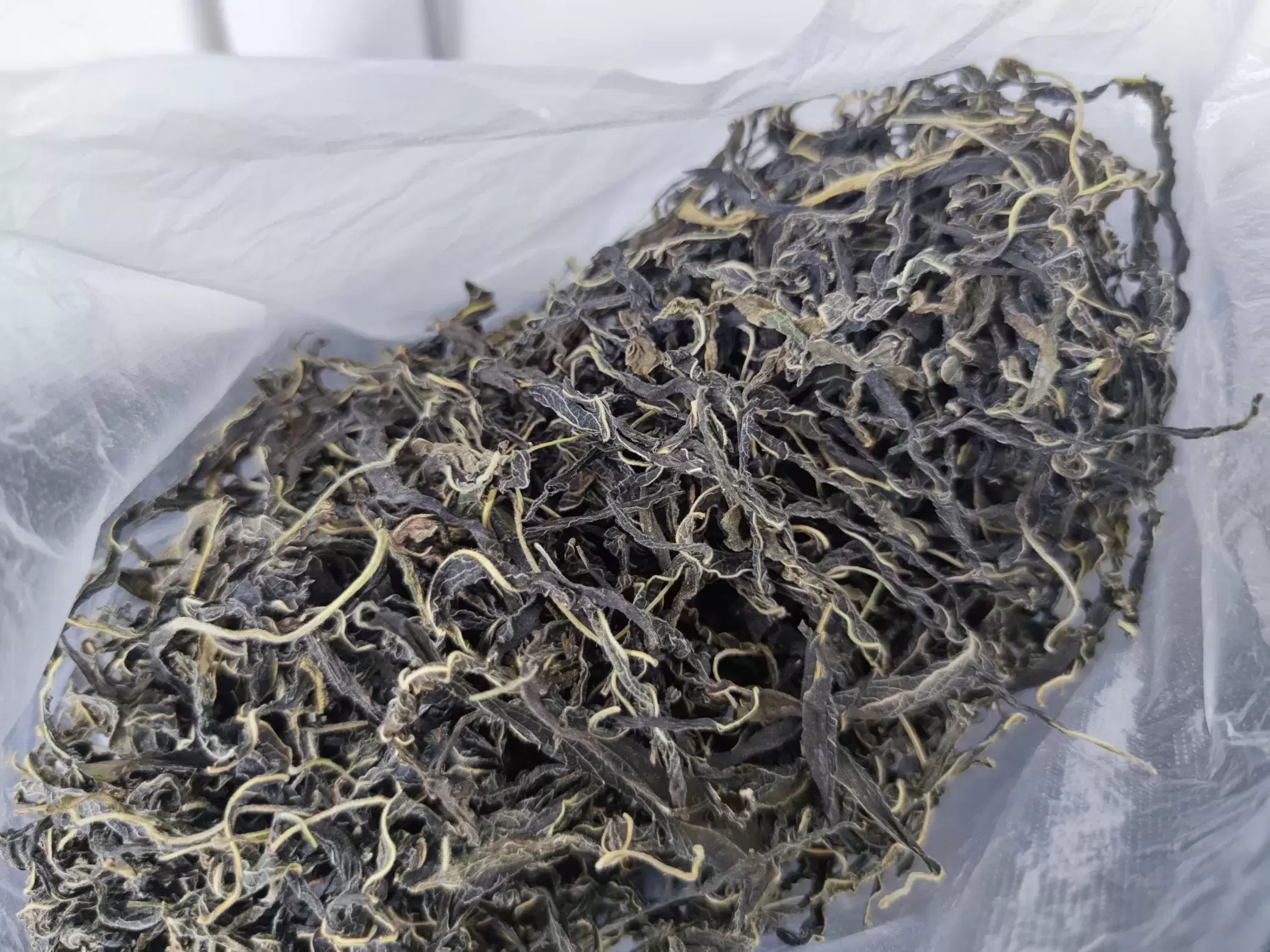 图片[3] - 抓住九月的尾巴 - 登山亦有道